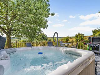 1 Bed in Knighton 51898 - 0