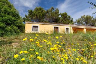 Apartments with common swimming-pool and outdoor private area in Badesi - 6