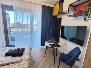 Roof Terrace, 24h Security, City Centre and a view of the historic shipyard - 1