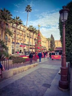 Alojamiento Sol en Murcia centro - 6