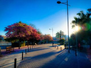Alojamiento Sol en Murcia centro - 1