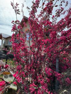 Edificio Sam Slick - 8