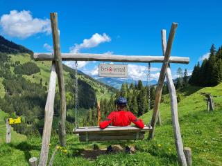 by franz - Alpine Apartments in Kirchberg - 8