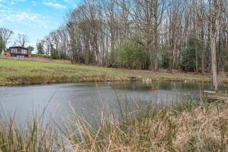 1 Bed in Far Forest oc-d30808 - 9