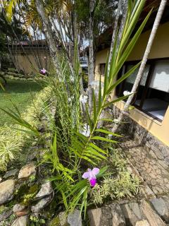 Linda casa em Angra dos Reis - 7