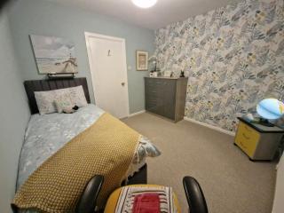 Large Modern Cosy Suburban Room - 7