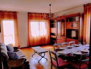 Pet friendly La Golondrina del Duratón - 9