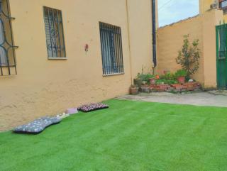 Pet friendly La Golondrina del Duratón - 7