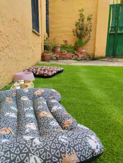 Pet friendly La Golondrina del Duratón - 3