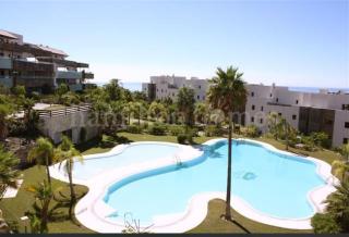 Noctua Flamingos 027 - 6