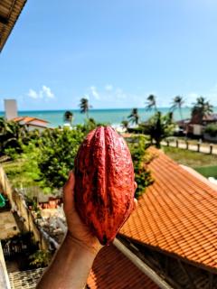 O Rei Do Cumbuco - Cumbuco Residence - 4