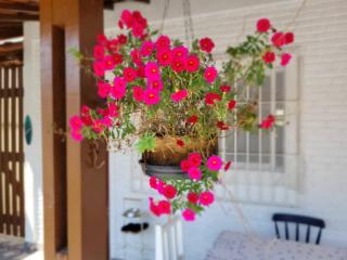 Recanto do Adão - 6