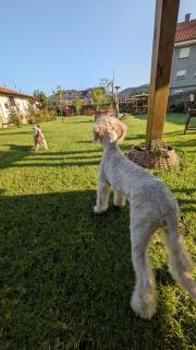 Loft el Pasaje Secreto - 8