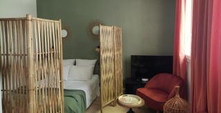 Ile verte entre CHU & vieille ville - 8