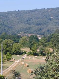 La casa sul lago - 2