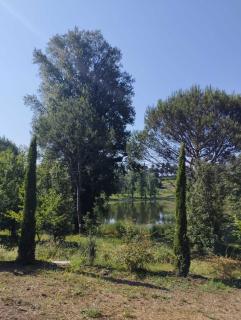 La casa sul lago - 4