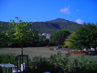 Villa Le Vieux Figuier - 2