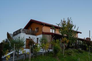 Ruralna kuća za odmor KOVIN BREG - 0