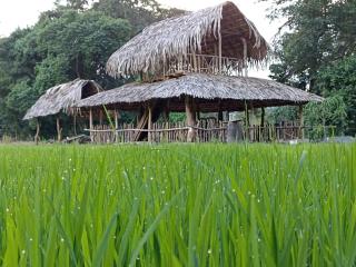 VR Nature Cottage CABANA - 1
