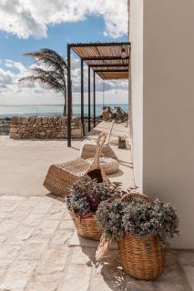 Tiny Home Baronessa - 8