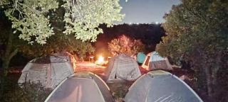 Hotel and transportation - 0