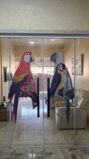 Casa alegria de viver - 0