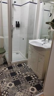 Ile verte entre CHU & vieille ville - 4