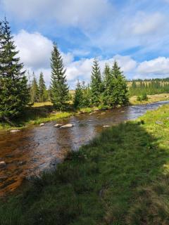 Căşuţa LA CUCU - 8