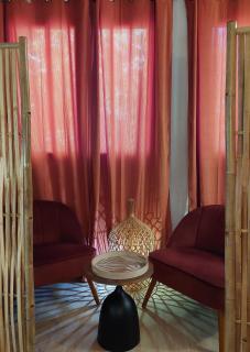 Ile verte entre CHU & vieille ville - 1