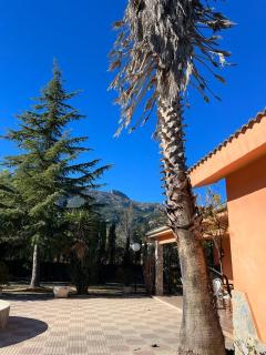 Casa Rural Jordá - 5