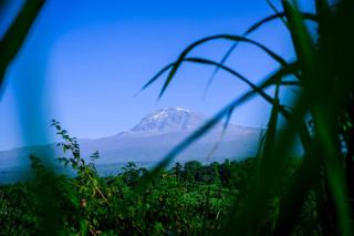 Materuni Home Stay - 1