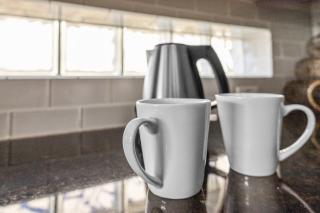 Solterra Sunscape Villa at Allevo Homes - 8