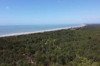 Villa Cuba - Domaine Le Sherwood - 1