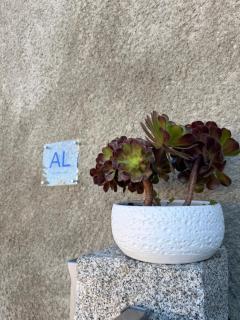 Casa Do Cruzeiro Apartment - 8