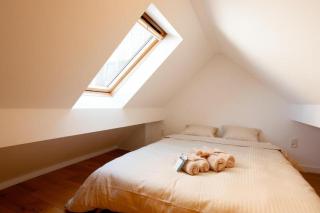 Cozy 1BDR Topfloor duplex flat - 1