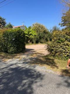 Appartement pierres apparentes - 3