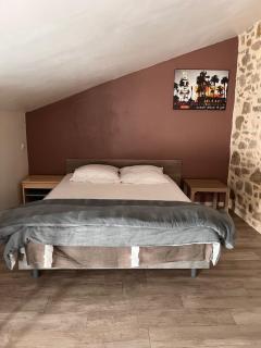 Appartement pierres apparentes - 2