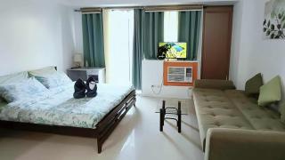 Two Palm Tree Villas close to Manila Airport - Terminal 3 - 1