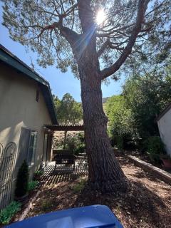 Spacious Fully Furnished 3BR Fully Fenced Home - 3