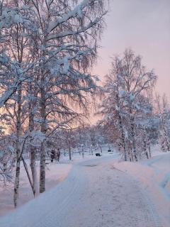 Ainola Arctic Hillside - 9