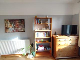 Lovely place at Stenhouse - 8