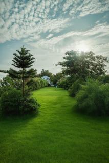 The Dragonfly Retreat - 0