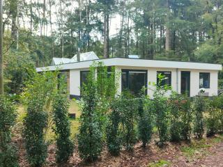 Kindvriendelijke bungalow in het bos bij zwemmeer. - 2