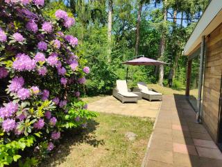 Kindvriendelijke bungalow in het bos bij zwemmeer. - 3