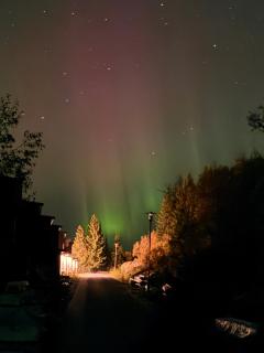 Modern and cozy fjord view cabin - 7