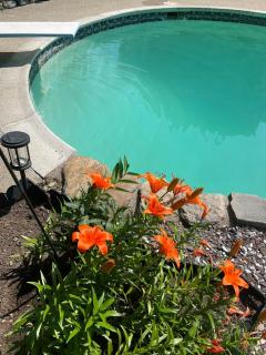 Exquisite 1 Bedroom Suite Charming W Private Entry - Framingham - 4