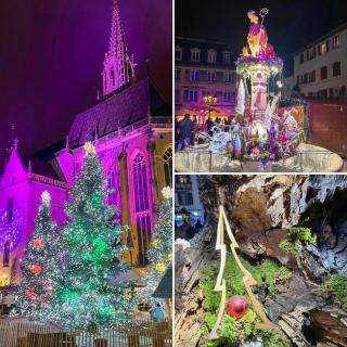 Gîte les Rosiers du Blosen - 8