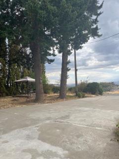 Hilltop Orchard Guest Suite with Scenic View - 8