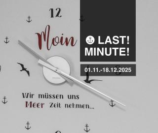 Neue Liebe Haffkrug 5 - Meeresstern - 8