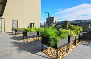 Viva Trindade - CEN010 - 3